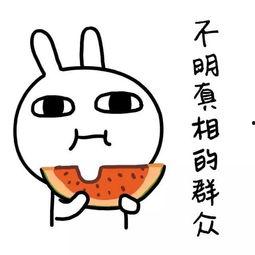 娱乐吃瓜酱很火吗知乎,揭秘网络热词背后的现象与影响力